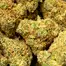 Patient Image of Kasa Verde GZP T26 Gazzurple Medical Cannabis