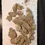 Patient Image of Greyscales SC T27 Strawberry Cough Medical Cannabis