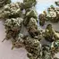Patient Image of Noidecs T18 Gorilla Glue #4 Medical Cannabis