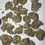 Patient Image of 4C Labs Core PGL T26 Platinum Garlic Medical Cannabis