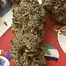 Patient Image of Dalgety HSOR T25 High Society (Oracle) Medical Cannabis
