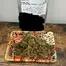 Patient Image of PharmaServ CJ T22 Chemmy Jones Medical Cannabis