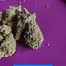 Patient Image of Phant PD T25 MAC-1 x Powdered Donuts Medical Cannabis