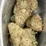 Patient Image of Huala AMS T24 Alien Mints Medical Cannabis