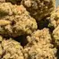 Patient Image of Medicus FPK T27 Fruity Pebble Kush Medical Cannabis