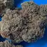Patient Image of Four BRB T28 Big Red Beard Medical Cannabis