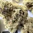Patient Image of Green Joÿ MFL T26 Mango Fuel Medical Cannabis