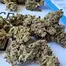 Patient Image of Cookies® C-PS T22 Pomegranate Shake Medical Cannabis
