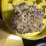 Patient Image of Humble Bud PNE Smalls T25 Pineapple Express Medical Cannabis