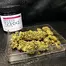Patient Image of Noidecs T23 Green Gelato Medical Cannabis