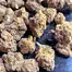 Patient Image of Fotmer Life Sciences T3h T22 Purple Dog Bud Medical Cannabis