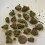 Patient Image of Craft Botanics® GLD T25-T27 Gelonade Medical Cannabis
