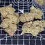 Patient Image of Grow® Pharma FC T22 French Cookies Medical Cannabis