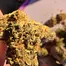 Patient Image of Sundaze® BSC T28 Banana Shortcake Medical Cannabis