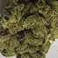 Patient Image of Redecan BC T25 Beach Crasher Medical Cannabis