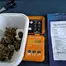 Patient Image of Mamedica® STG T27 Strawberry Grail Medical Cannabis