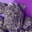 Patient Image of PharmaServ TC T16 Tropicana Cherry Medical Cannabis