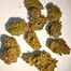 Patient Image of IPS SCP T21 Sherb Cream Pie Medical Cannabis