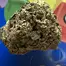 Patient Image of Blod Nosda T26 French Macaron Medical Cannabis