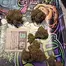 Patient Image of Green Joÿ MGC-L T10:C15 Mango Cheese Medical Cannabis