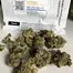 Patient Image of Dalgety MOG T24 Marshmellow OG Medical Cannabis
