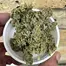 Patient Image of Tilray® ISS T22 Island Sweet Skunk Medical Cannabis