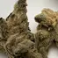 Patient Image of Dalgety KBQ T27 Korean BBQ Medical Cannabis