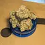 Patient Image of CannFX RP T27 Rainbow Pie Medical Cannabis