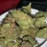 Patient Image of Noidecs T17 Shishkaberry Medical Cannabis