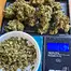 Patient Image of Aurora® Pedanios T22 Ghost Train Haze Medical Cannabis