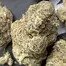 Patient Image of Mamedica® Organic SMO T25 Sherb Master OG Medical Cannabis