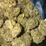 Patient Image of 4C Labs Craft Select GRZ T26 Green Runtz Medical Cannabis