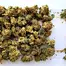 Patient Image of Cellen™ Satoline T18 White Widow Medical Cannabis