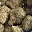 Patient Image of Greyscales GCR T27 Gas Cream Cake Medical Cannabis