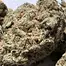 Patient Image of Kasa Verde WCK T29 White Cookies Medical Cannabis