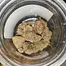 Patient Image of 4C Labs Craft DBK T26 Durban Kush Medical Cannabis