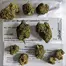 Patient Image of PharmaServ ZO T19 Zoom Medical Cannabis