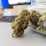Patient Image of Noidecs T20 Murray Sherbet Medical Cannabis