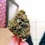 Patient Image of Aurora® CanVALUE T22 Delahaze Medical Cannabis