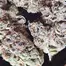 Patient Image of Mamedica® CHC T28 Chem Cookies #44 Medical Cannabis