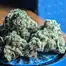 Patient Image of 4C Labs Core LMT T25 Lemonatti Medical Cannabis