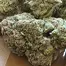 Patient Image of IPS BLU T26 Blunicorn Medical Cannabis