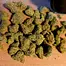 Patient Image of Upstate® AMZ T30 Alien Mintz Medical Cannabis