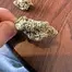 Patient Image of Miracle Valley Canada MAC-1+ T25 Miracle Alien Cookies Medical Cannabis