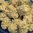 Patient Image of Medicus FPK T27 Fruity Pebble Kush Medical Cannabis