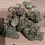 Patient Image of Glass Pharms® BB T9:C11 Blackberry Balanced Medical Cannabis