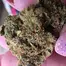 Patient Image of Big Narstie Medical AM T23 Ammy Medical Cannabis