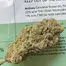 Patient Image of Curo® BCP T21-T22 Black Cherry Punch Medical Cannabis