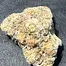 Patient Image of 4C Labs MSN T31 Morning Sun Medical Cannabis