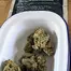 Patient Image of Wellford Luma MAC T25 Miracle Alien Cookies #3 Medical Cannabis